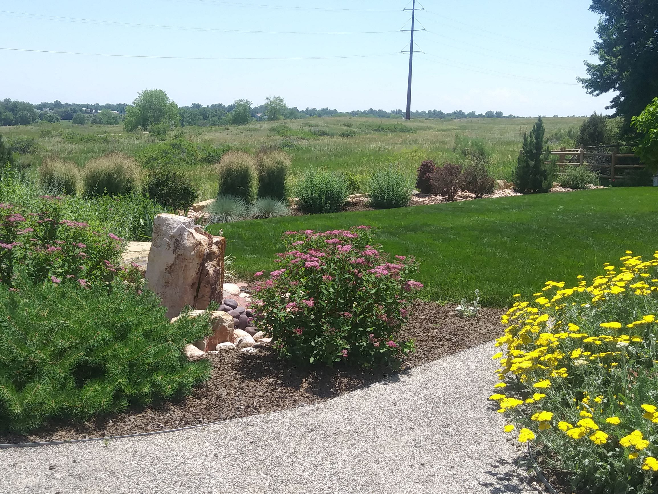 Large beautiful bushes set in mulch surrounding green grass with large decorative stones.