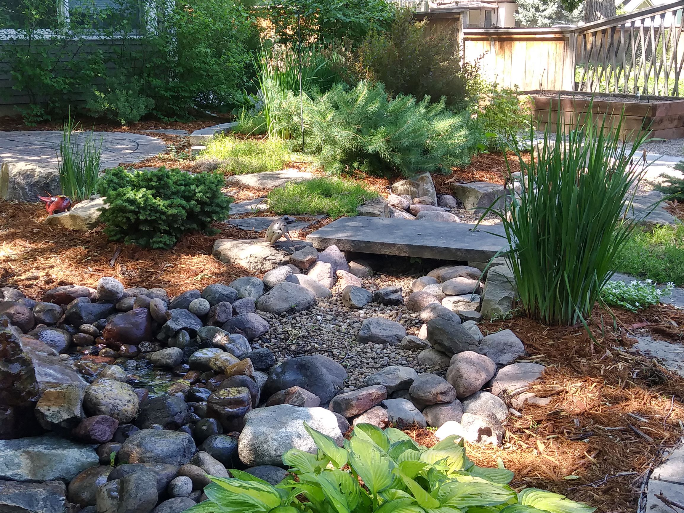 Small stone bridge over backyard stream. Surrounded by mulch and low water plants and bushes.