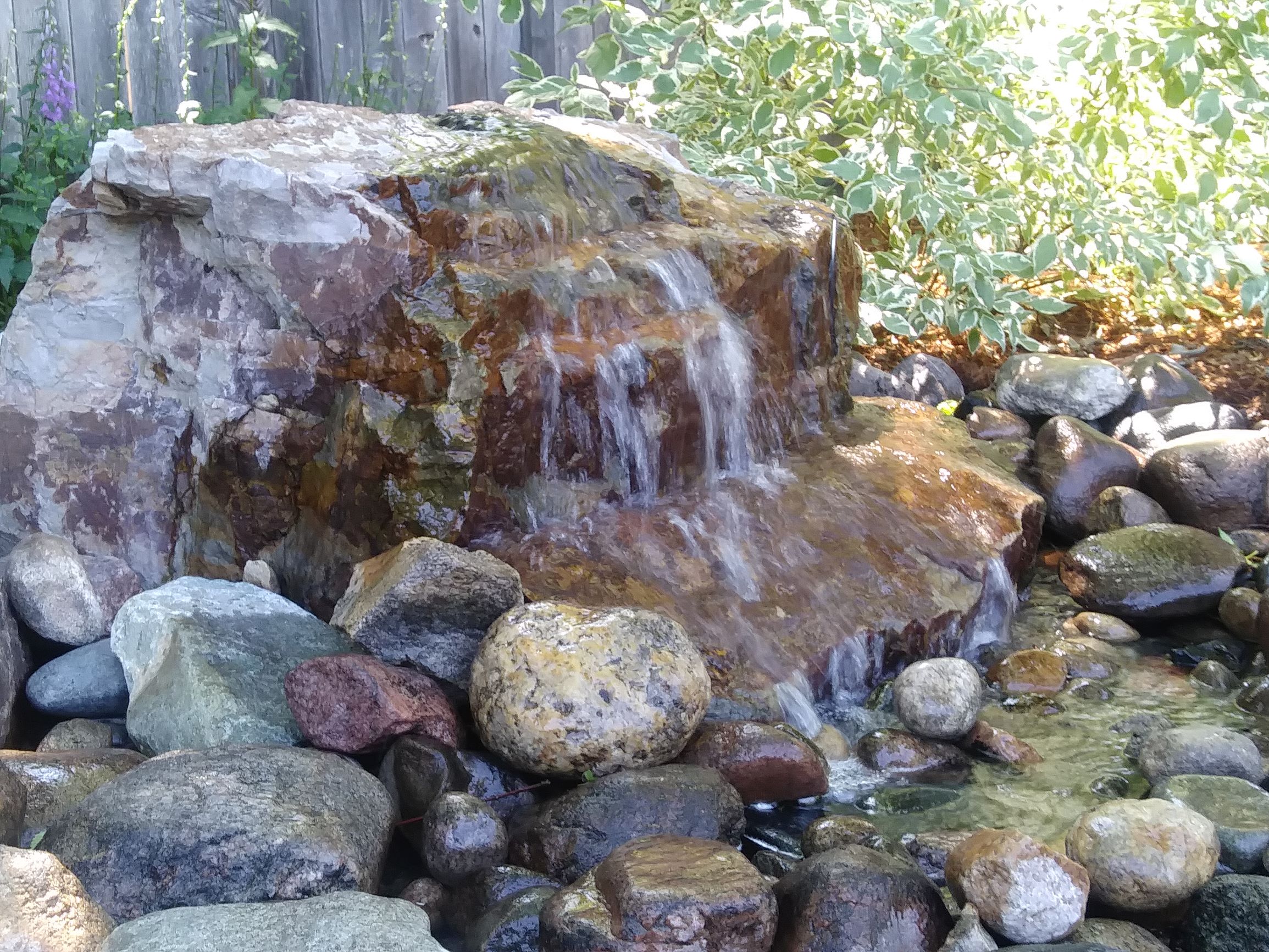 Large rock water feature surrounded by bushes.