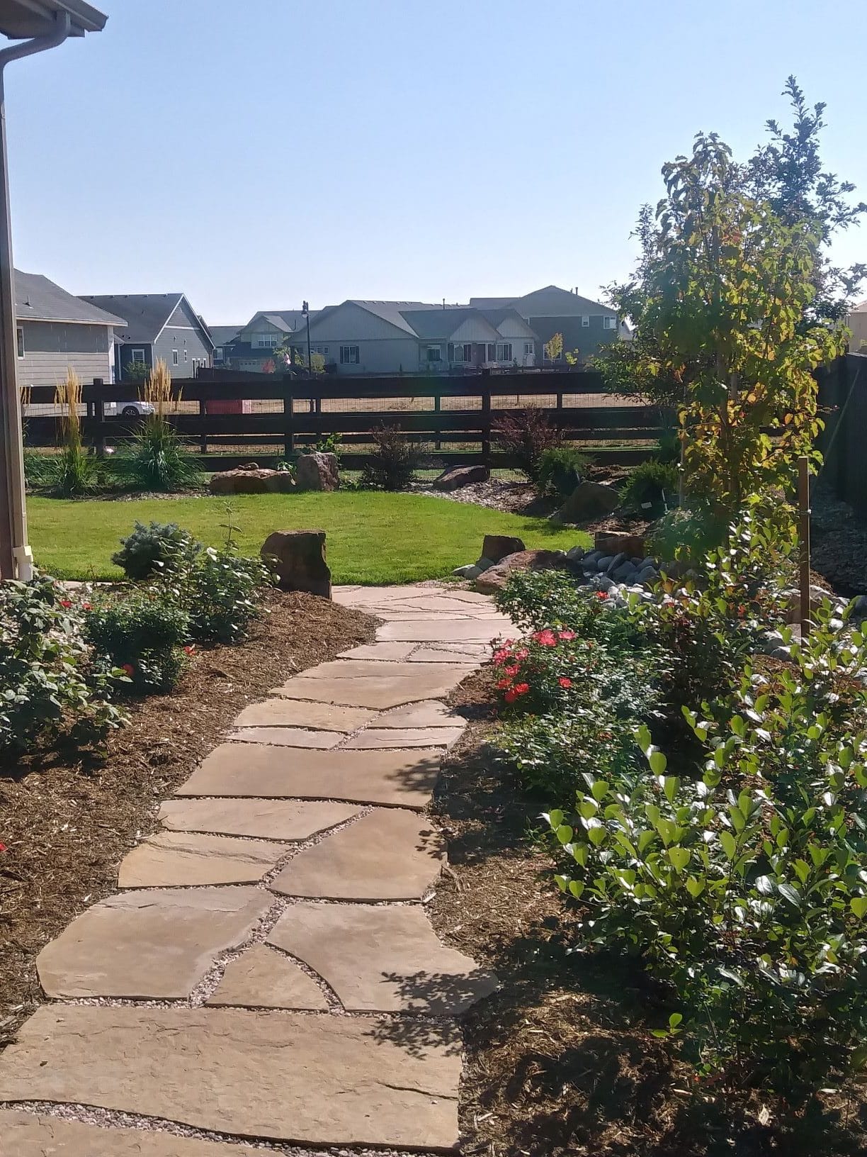 Flat stone path next to green grass with mulch and low maintenance bushes and plants.