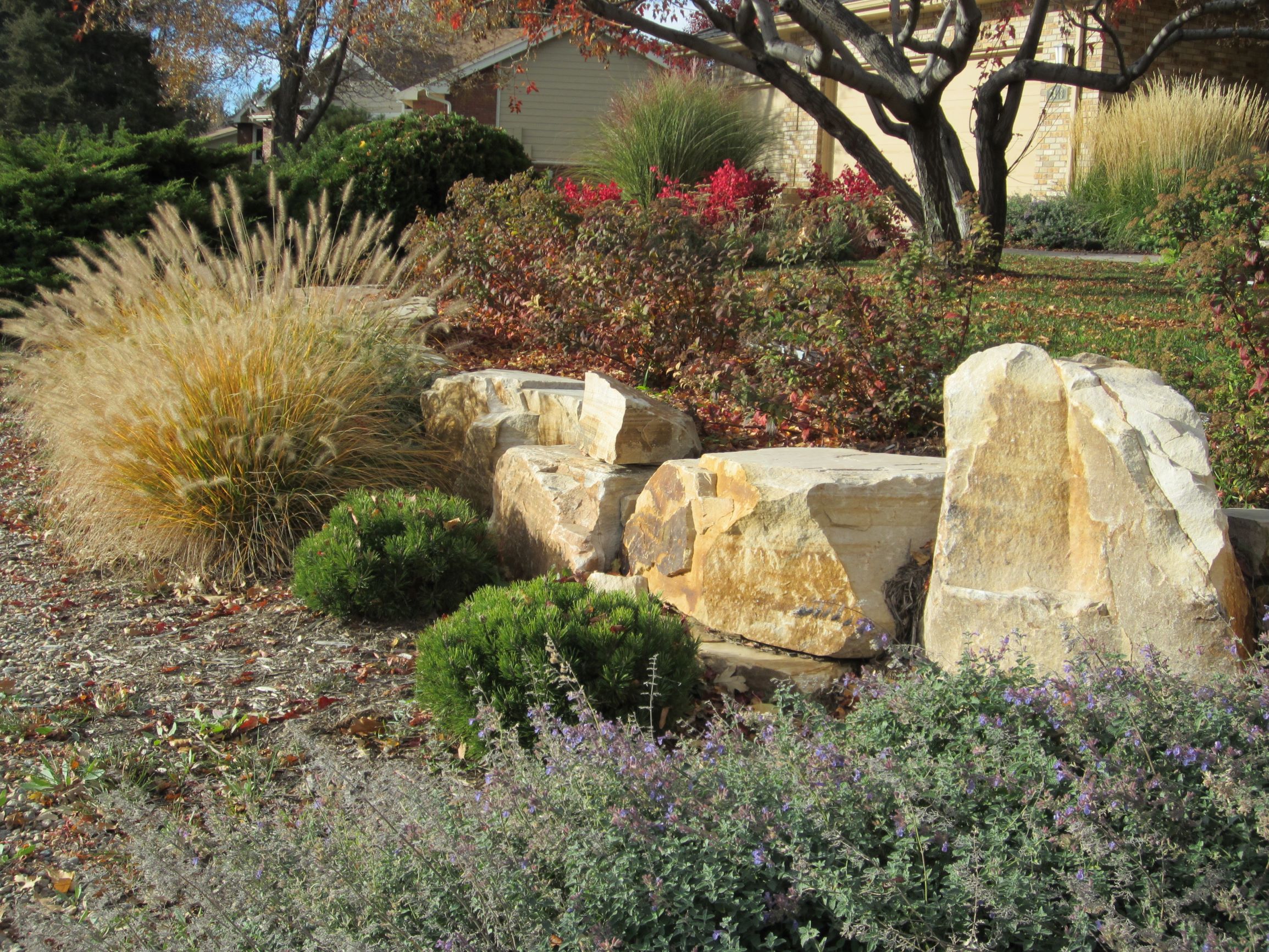 Large decorative rocks surrounded by bushes and plants.