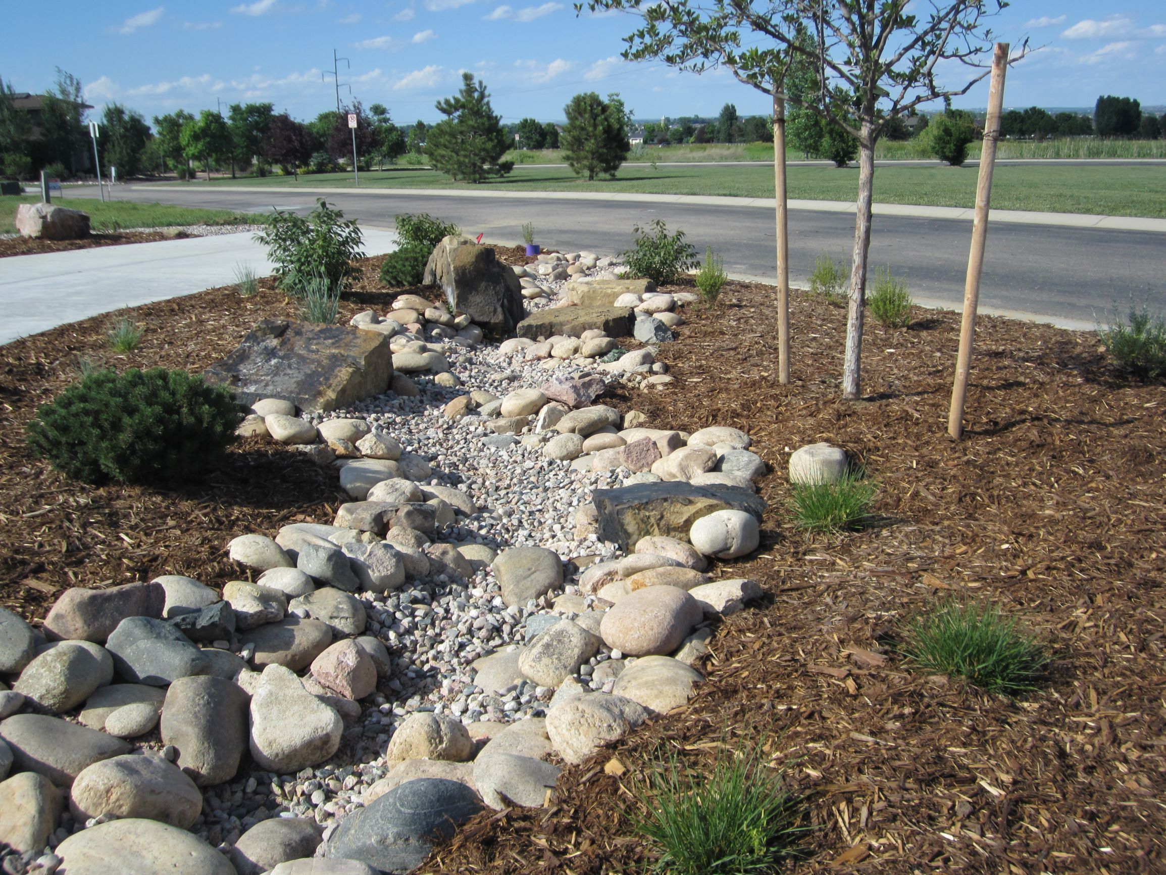 rock bed drain surrounded by mulch and low maintenance bushes.