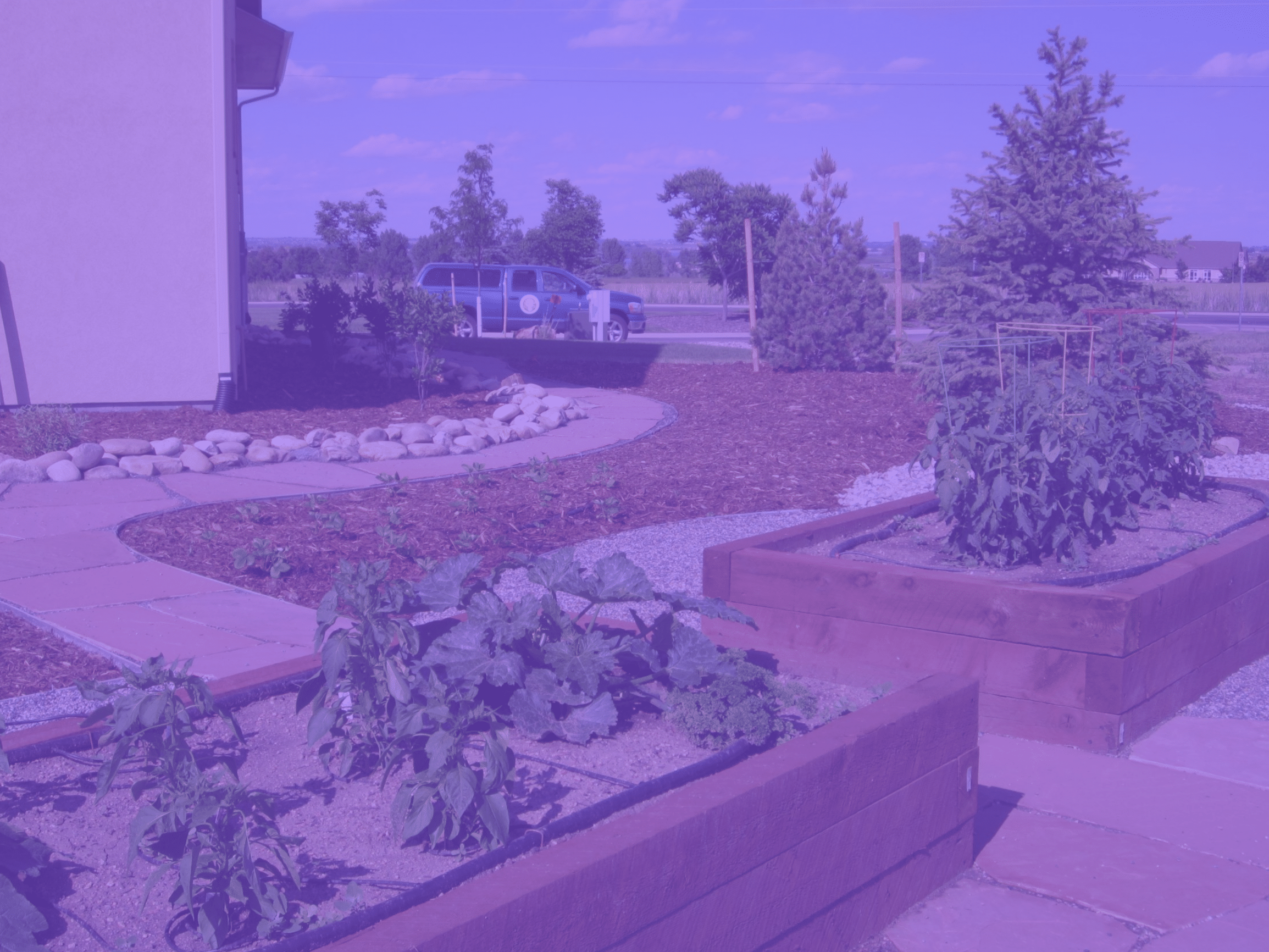 Raised garden beds Fort Collins CO