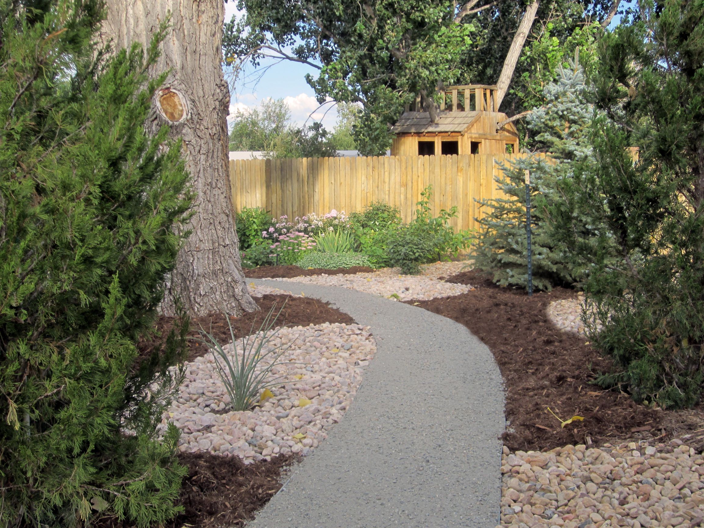 Gravel path through a back yard surrounded by rock and mulch as well as trees, plants, and bushes.