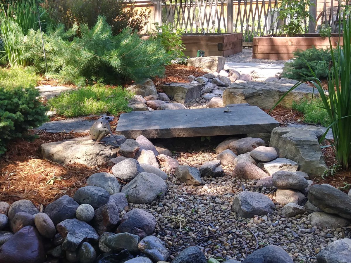 Xeriscape Landscaping Fort Collins CO Xeriscape Landscapers