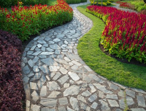 How to Plan Landscaping In Your Yard
