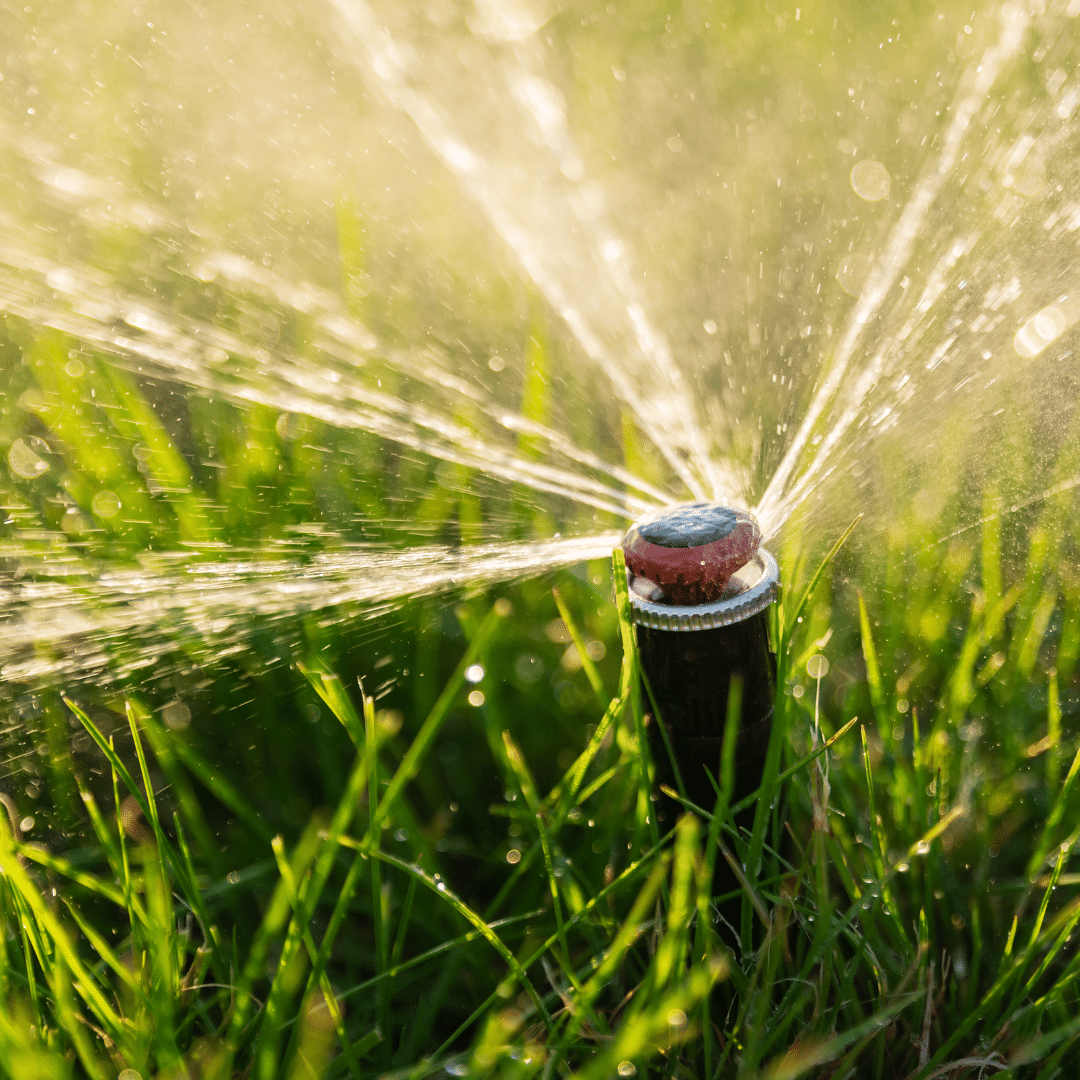 Why Irrigation Blowouts are Necessary Grounded Landscape Designs