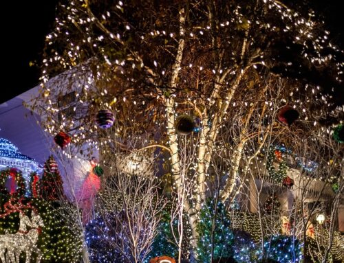 2023 Christmas Light Landscaping Trends from Grounded Landscape