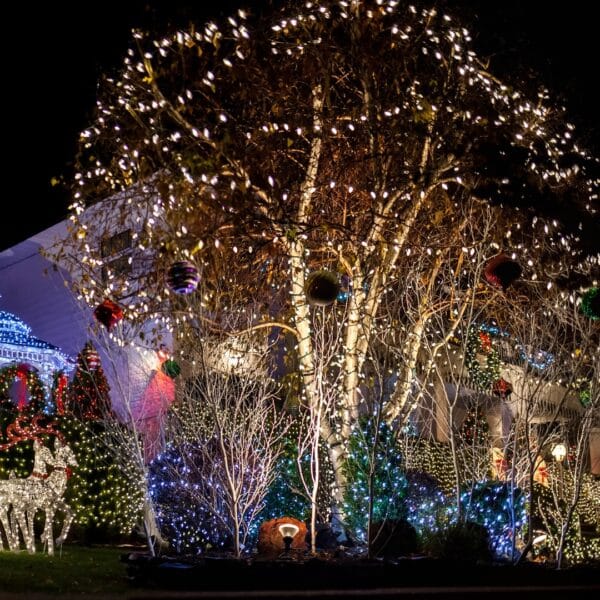 2023 Christmas Light Landscaping Trends from Grounded Landscape