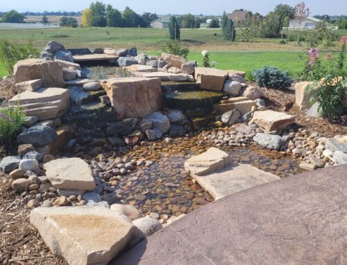 Water Features Perfect for Colorado Gardens