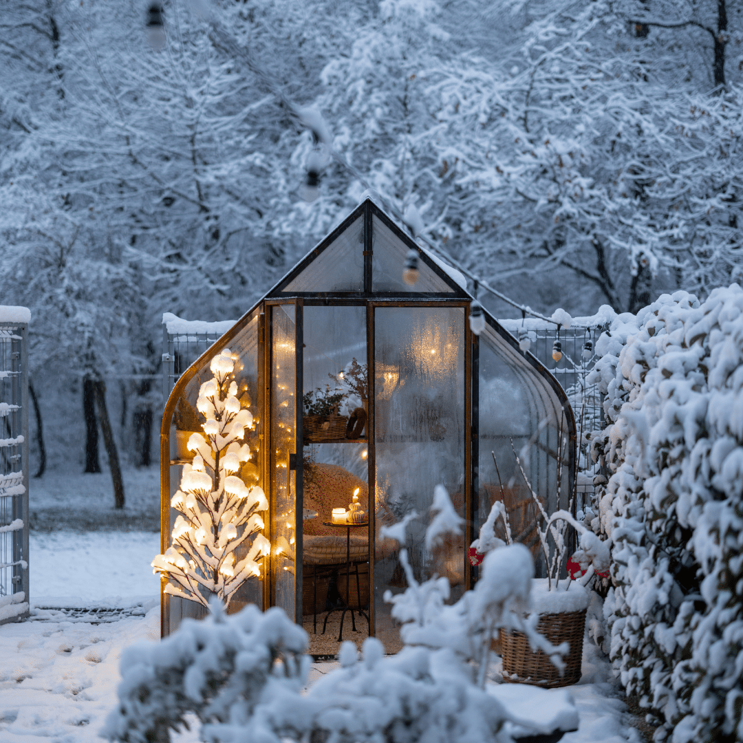 Landscape Lighting Fort Collins CO