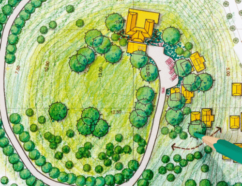 What Happens During a Professional Landscape Design Consultation?