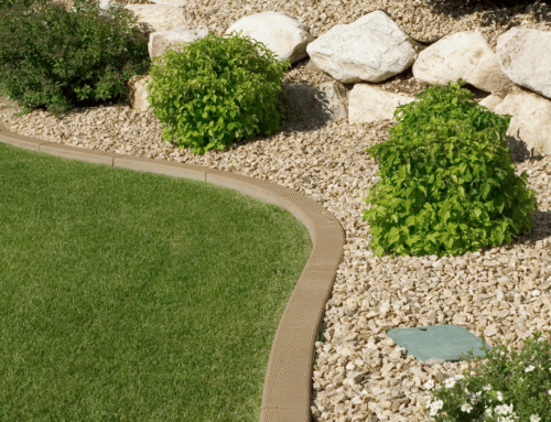 How Landscape Design Impacts Long-Term Maintenance and Water Use