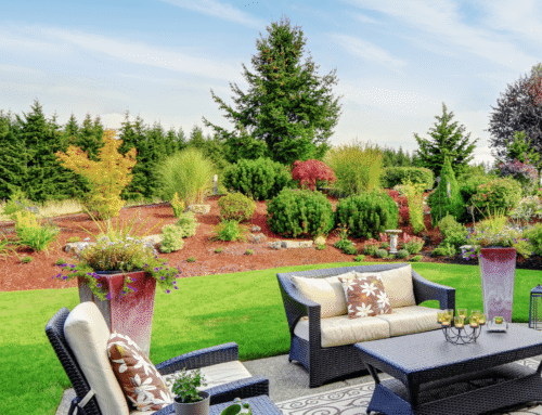 Lawn vs. Patio: Which Makes More Sense for Your Northern Colorado Yard?
